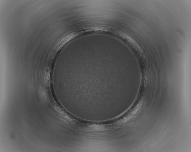 X0000113340977200909151128