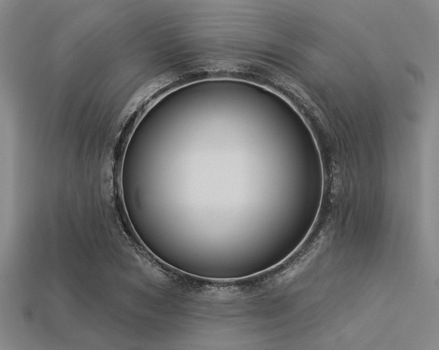 X0000113340978200909151128