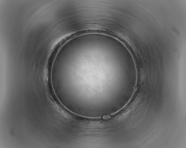 X0000113340979200909151128