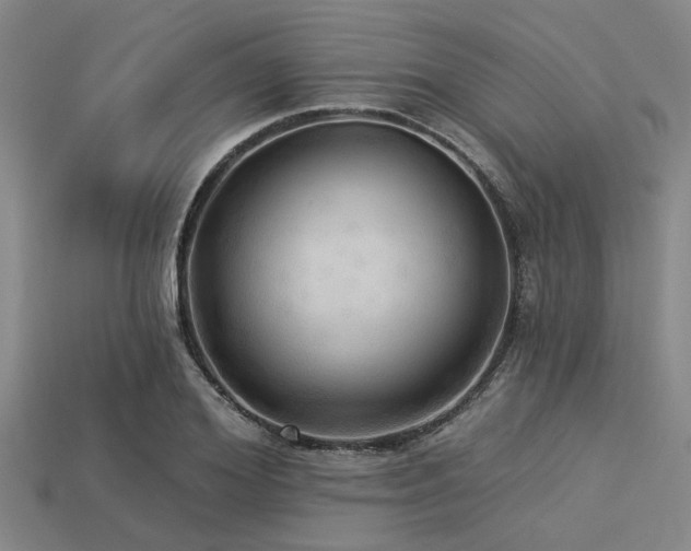X0000113340980200909151128
