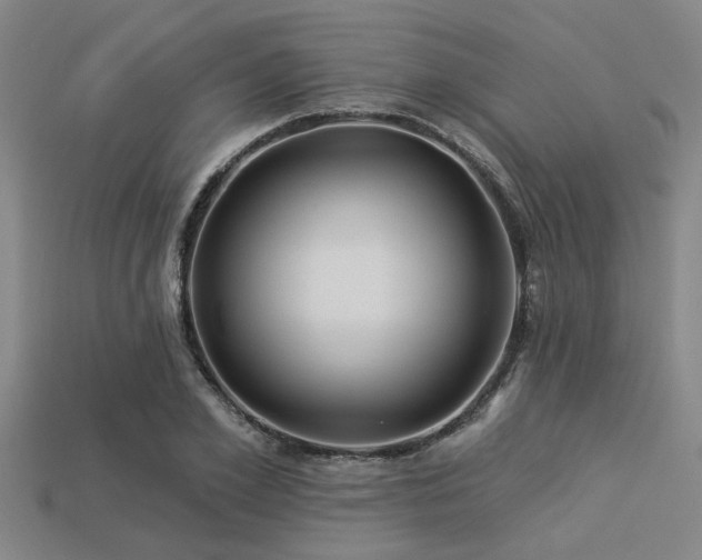 X0000113340981200909151128