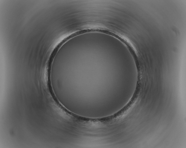 X0000113340983200909151128