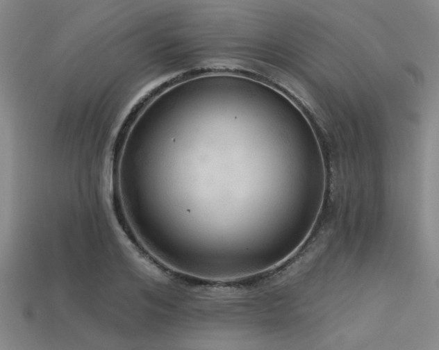 X0000113340984200909151128