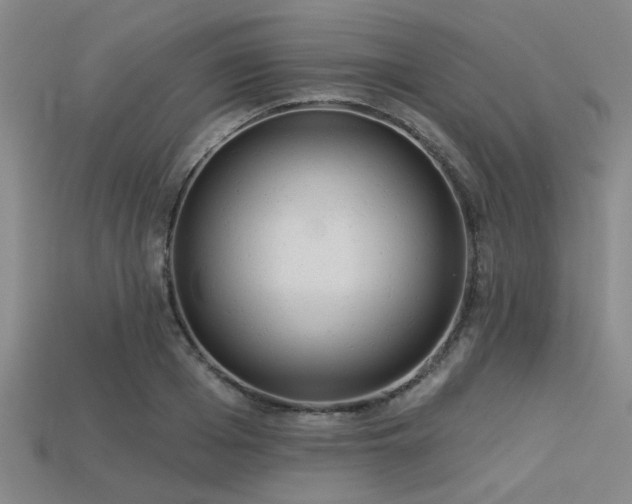 X0000113340985200909151128