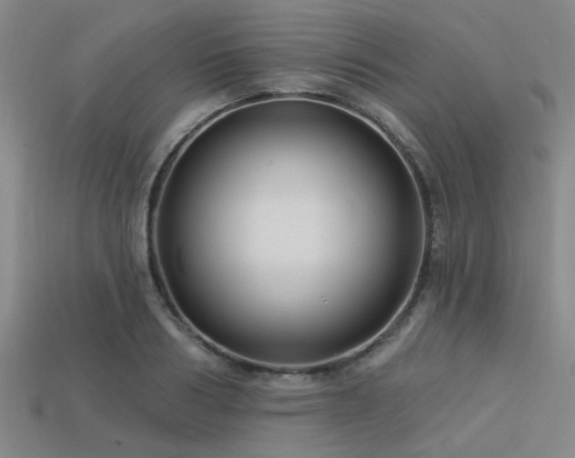 X0000113340986200909151128