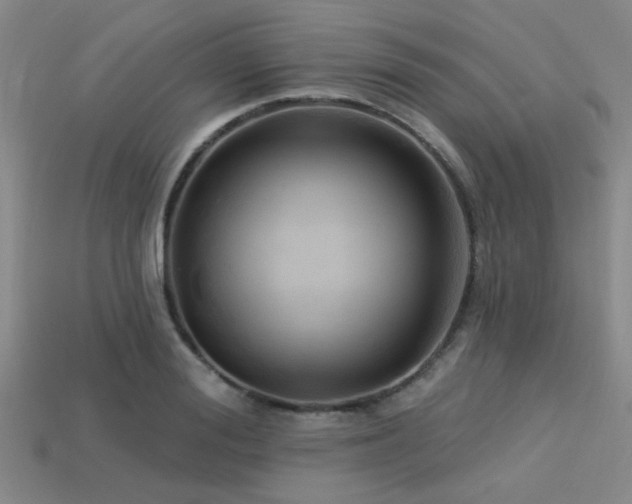 X0000113340988200909151128