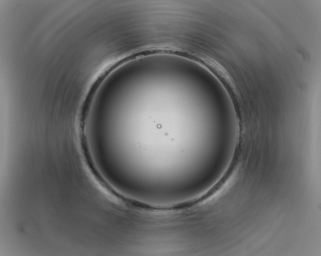X0000113340989200909151128