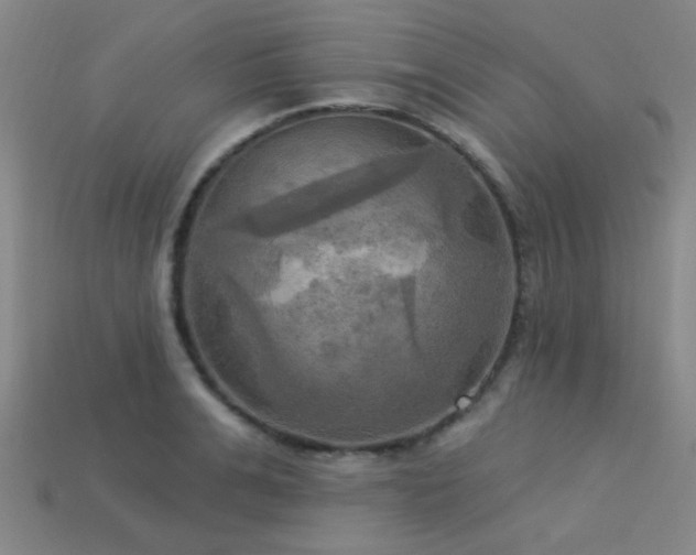 X0000113340991200909151127