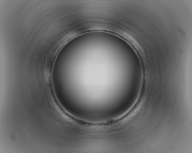 X0000113340993200909151127