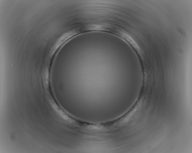 X0000113340994200909151127