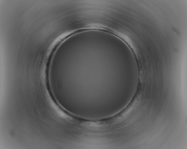 X0000113340995200909151127