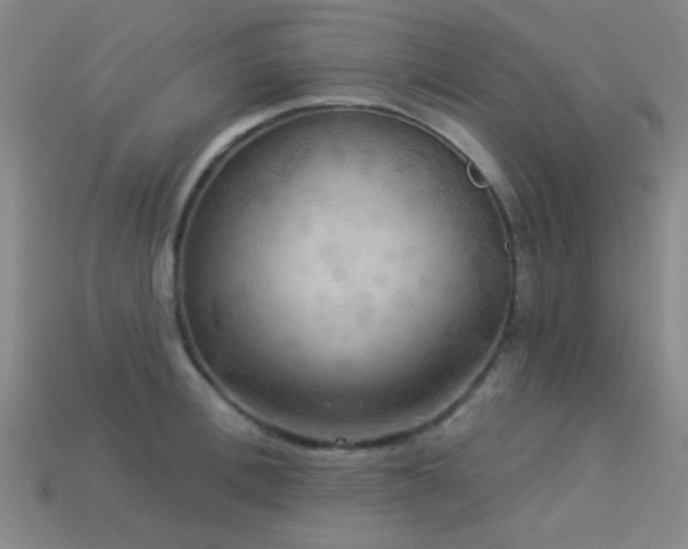 X0000113340996200909151127