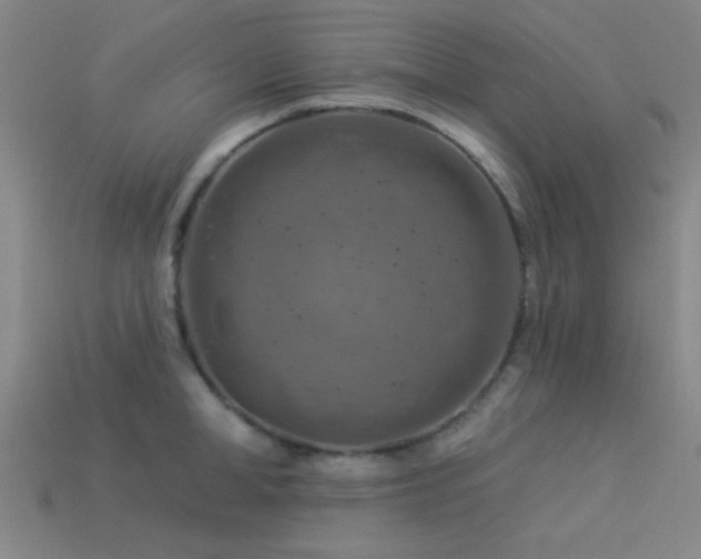 X0000113340998200909151127