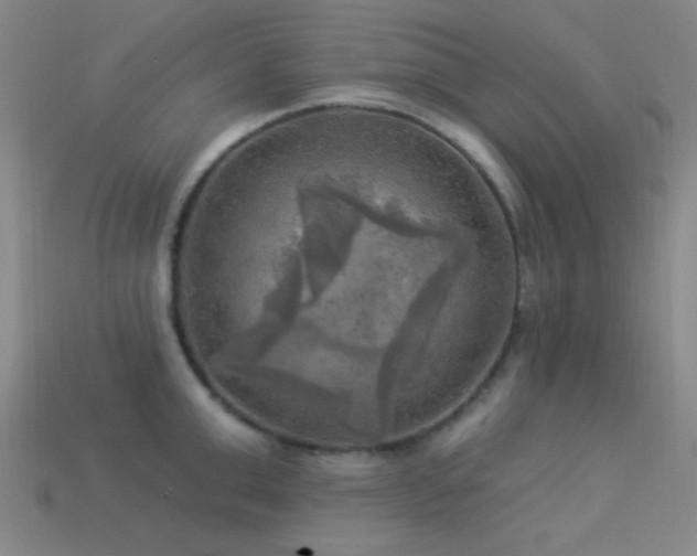 X0000113340999200909151127