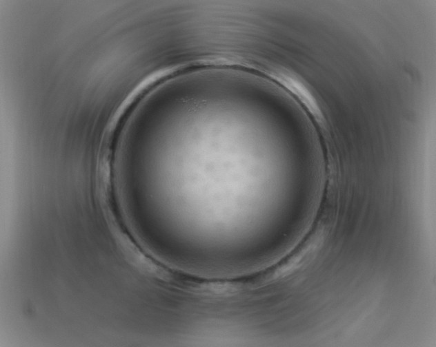 X0000113341000200909151127