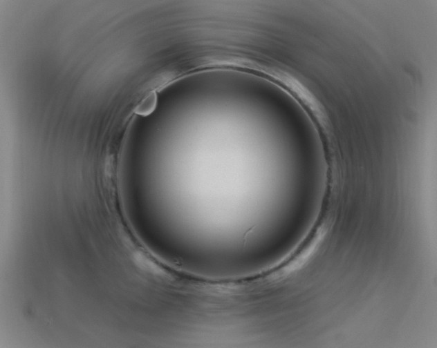 X0000113341001200909151127