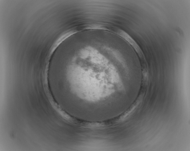 X0000113341002200909151127