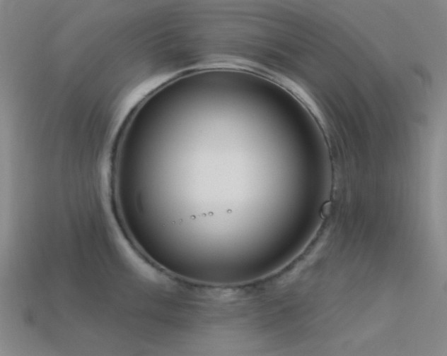 X0000113341003200909151127