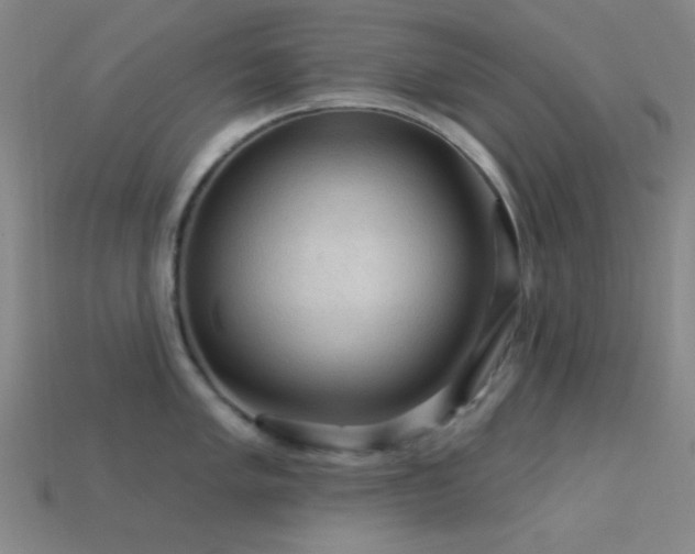 X0000113341005200909151127