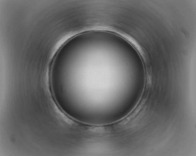 X0000113341006200909151127
