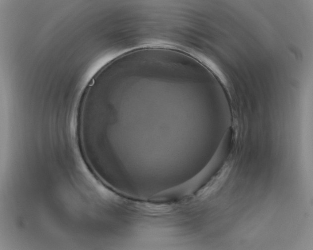 X0000113341007200909151127