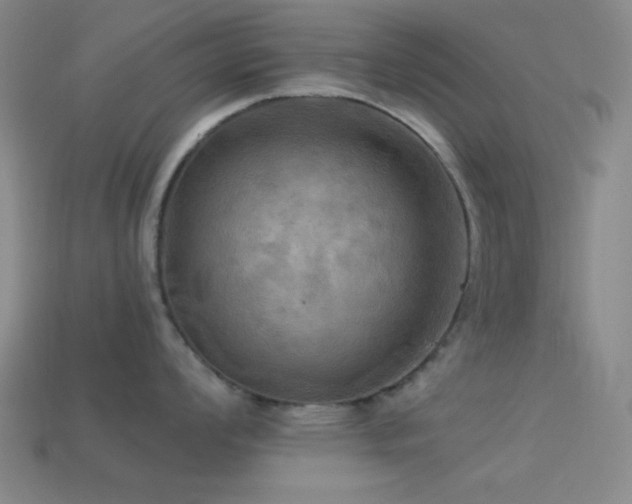 X0000113341008200909151127