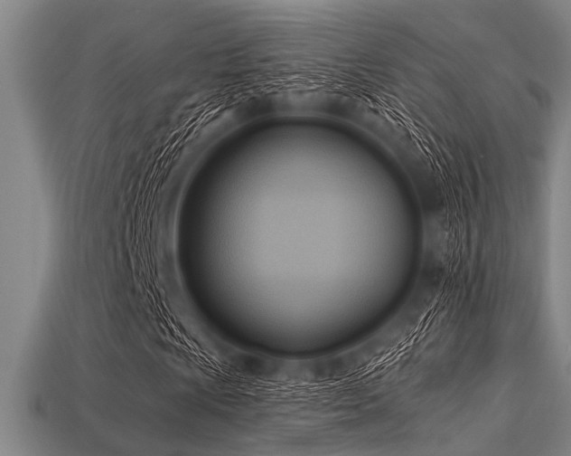 X0000113341009200909151126