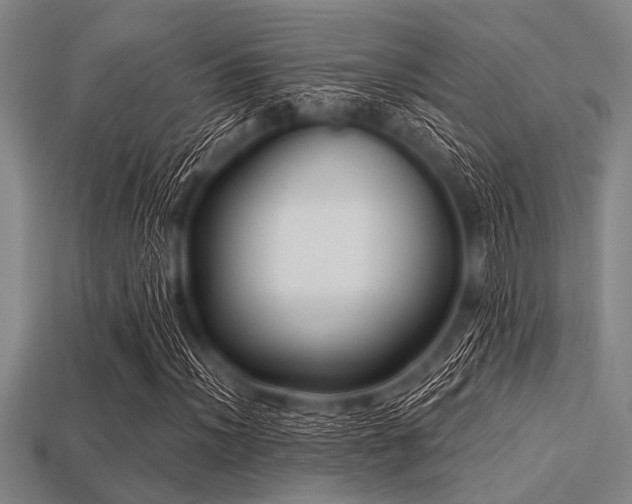X0000113341012200909151127