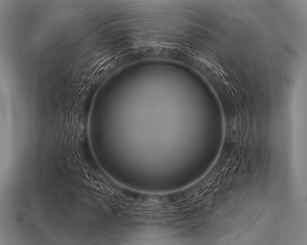 X0000113341013200909151127