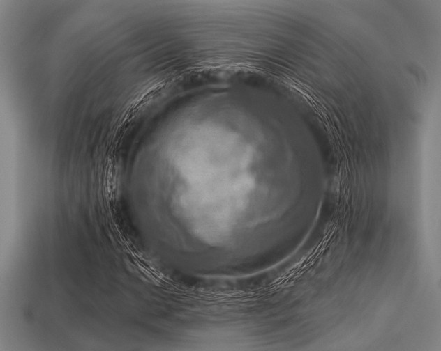 X0000113341014200909151127