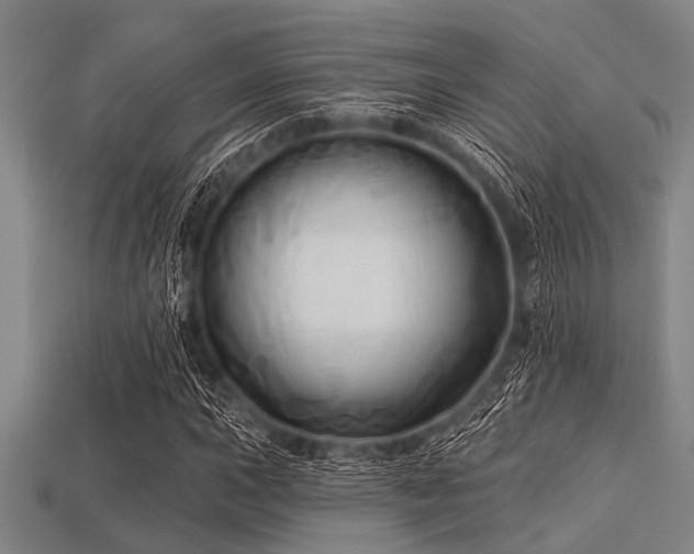 X0000113341015200909151127