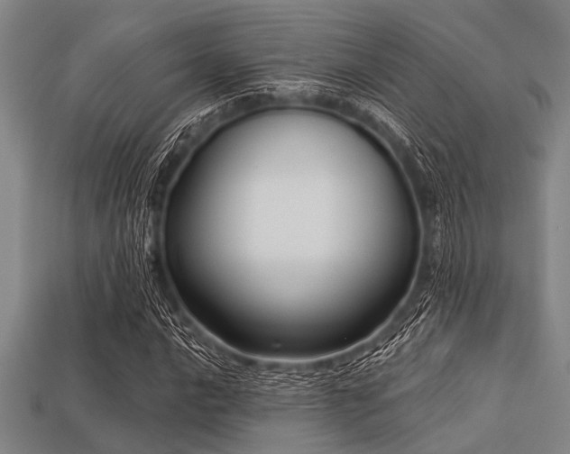X0000113341016200909151127
