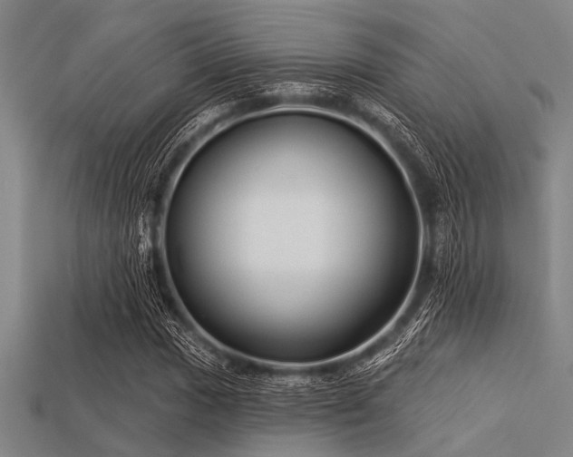 X0000113341017200909151127