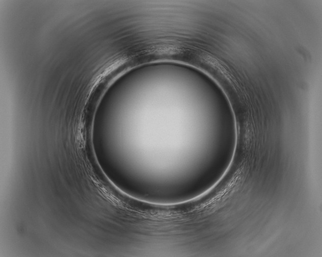 X0000113341018200909151127