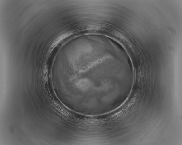 X0000113341019200909151127