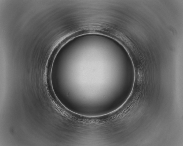 X0000113341020200909151127