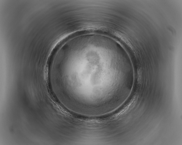 X0000113341021200909151127