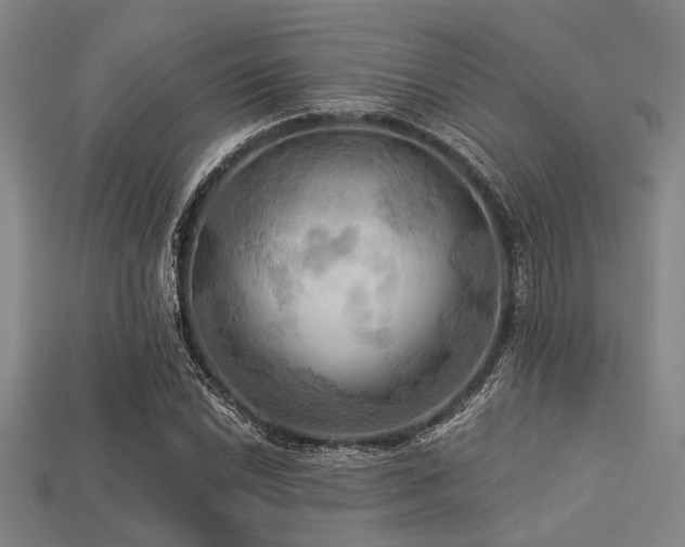 X0000113341022200909151127