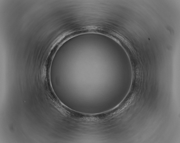 X0000113341023200909151127