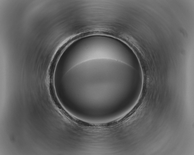 X0000113341024200909151127