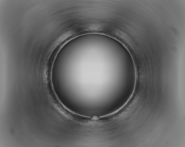 X0000113341026200909151127