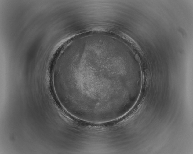 X0000113341027200909151127