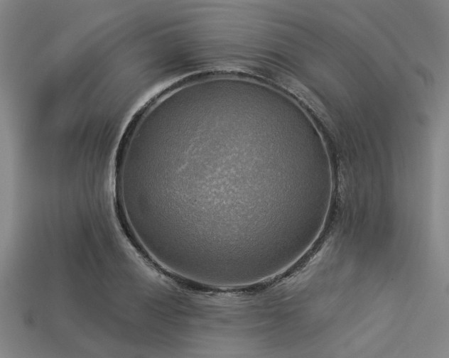 X0000113341028200909151127