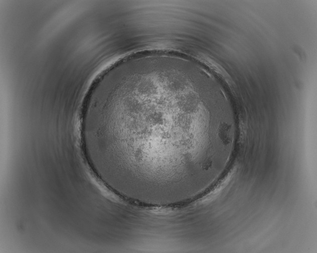 X0000113341029200909151127