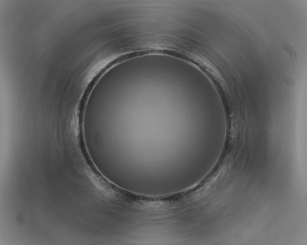 X0000113341031200909151127