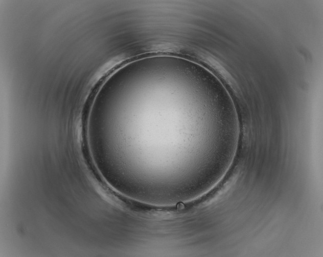 X0000113341034200909151127