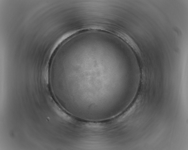 X0000113341036200909151127