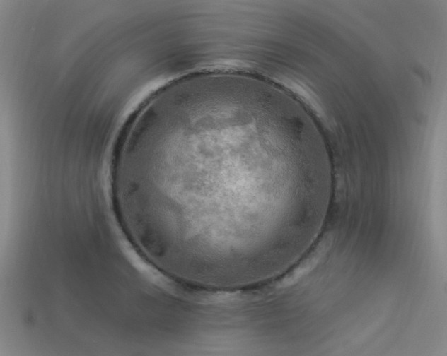 X0000113341038200909151127