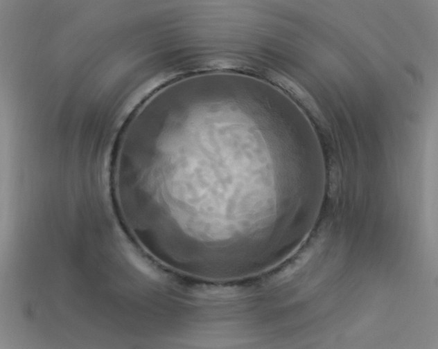 X0000113341039200909151127