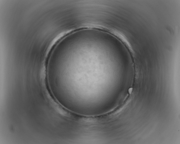 X0000113341040200909151127